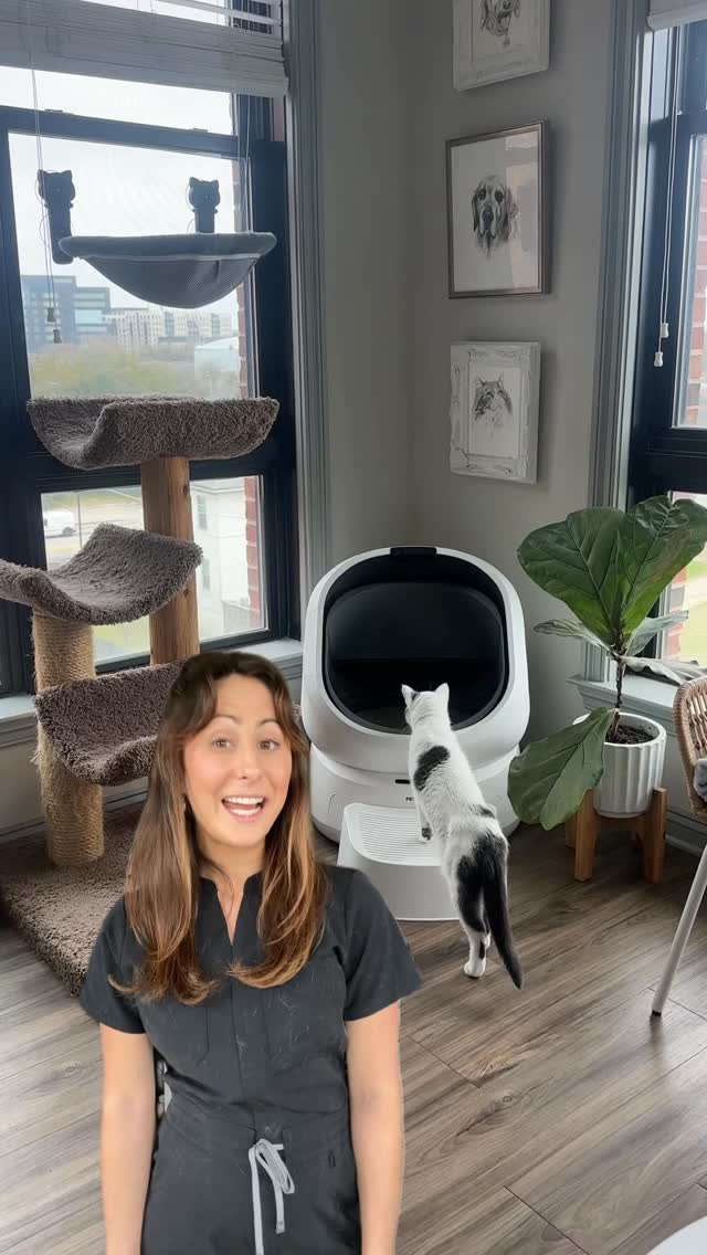As a veterinarian and a multi-cat owner, monitoring litter box habits is one of the easiest ways to catch health issues early. The Luma Smart Litter Box from @petlibro helps track which cat is using the box and what’s ha