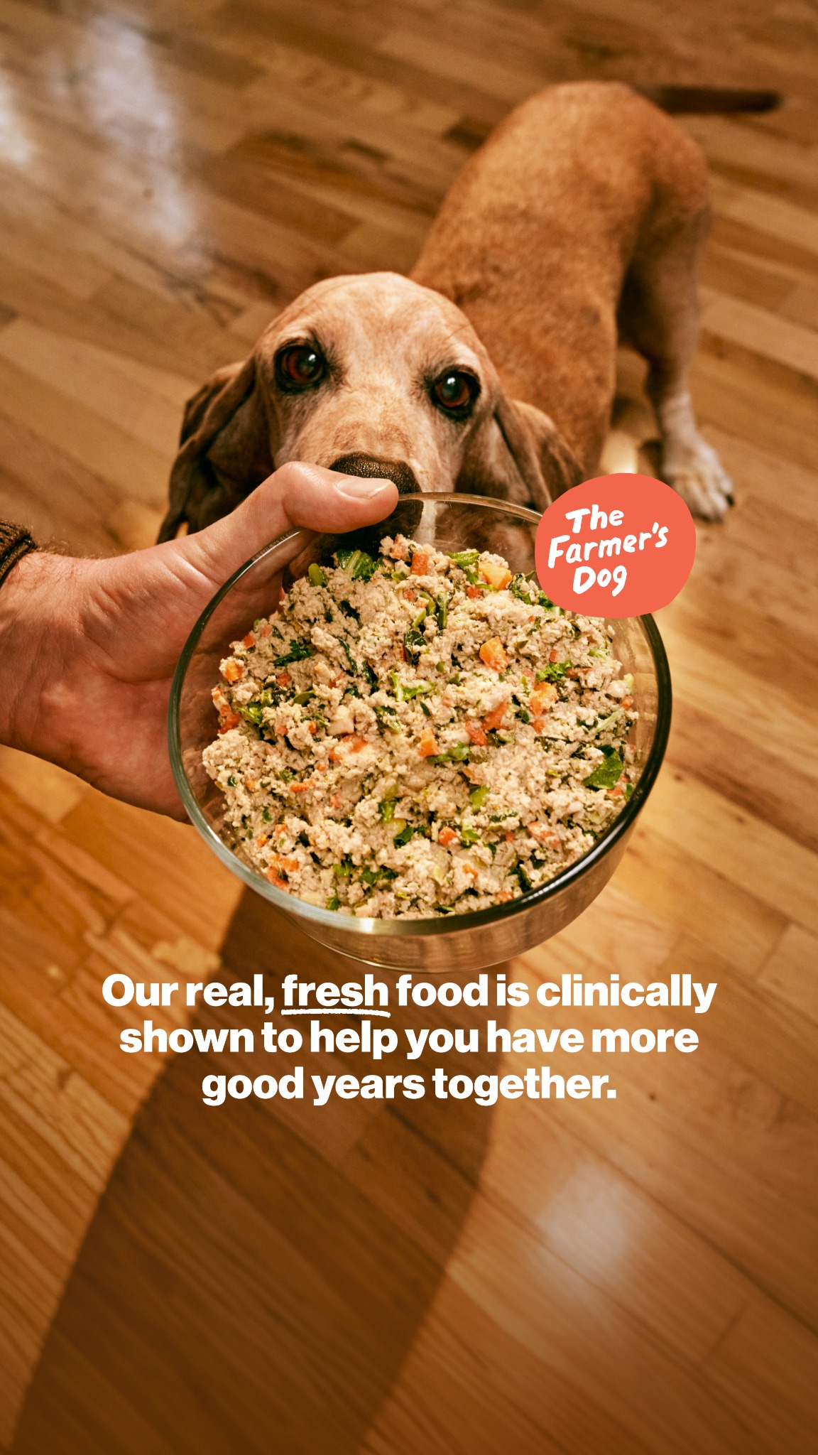 Human-grade isn’t spoiling your dog; it should be the standard. Start your dog on fresh food that’s made to the highest safety standards.