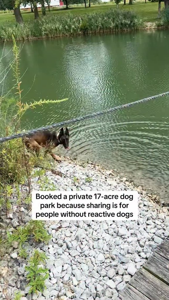 Growth is renting 17 acres instead of apologizing.
.
.
#sniffspot #privatedogpark #privatedogparks