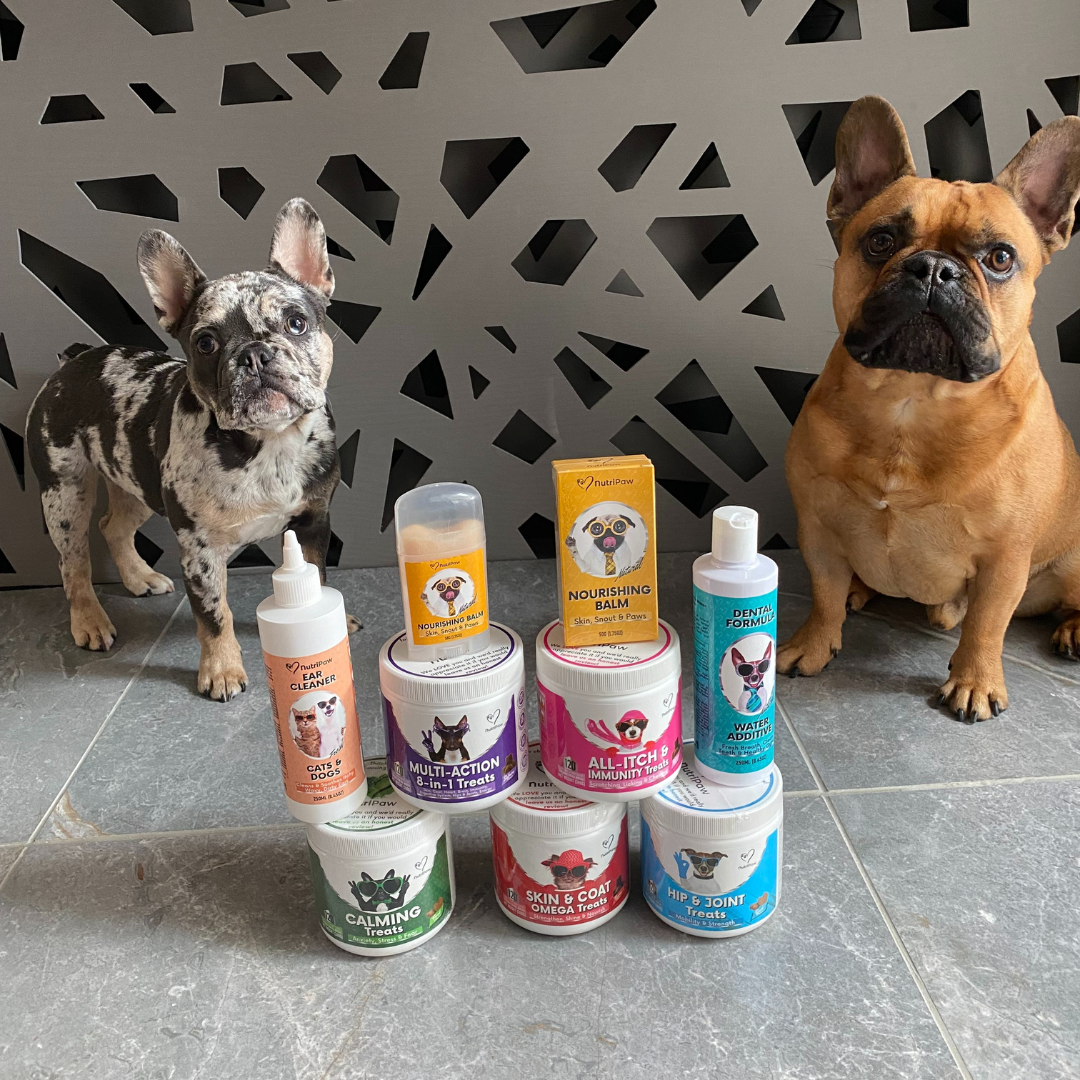 Vets Love It. Dogs Love It. Owners Trust It.
