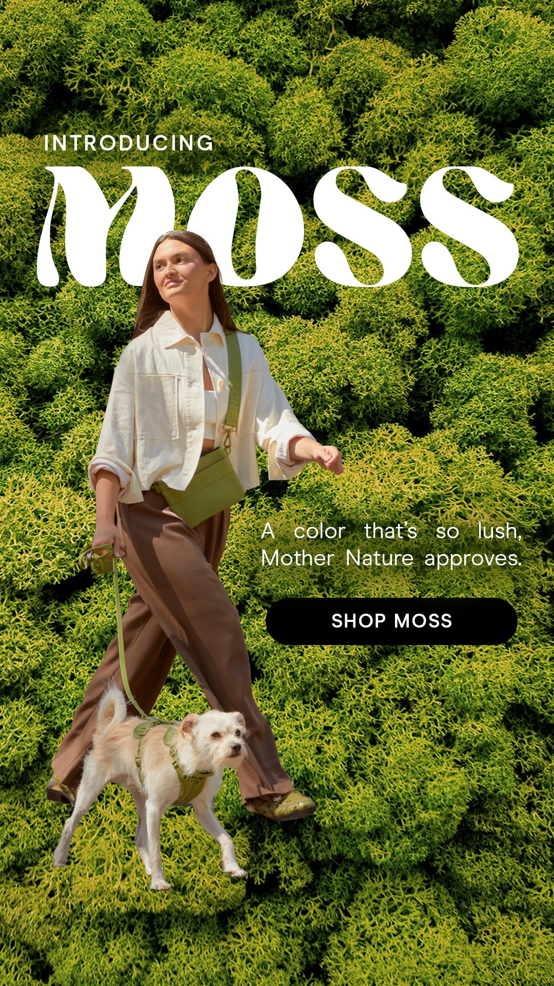 Meet Moss 💚🌿