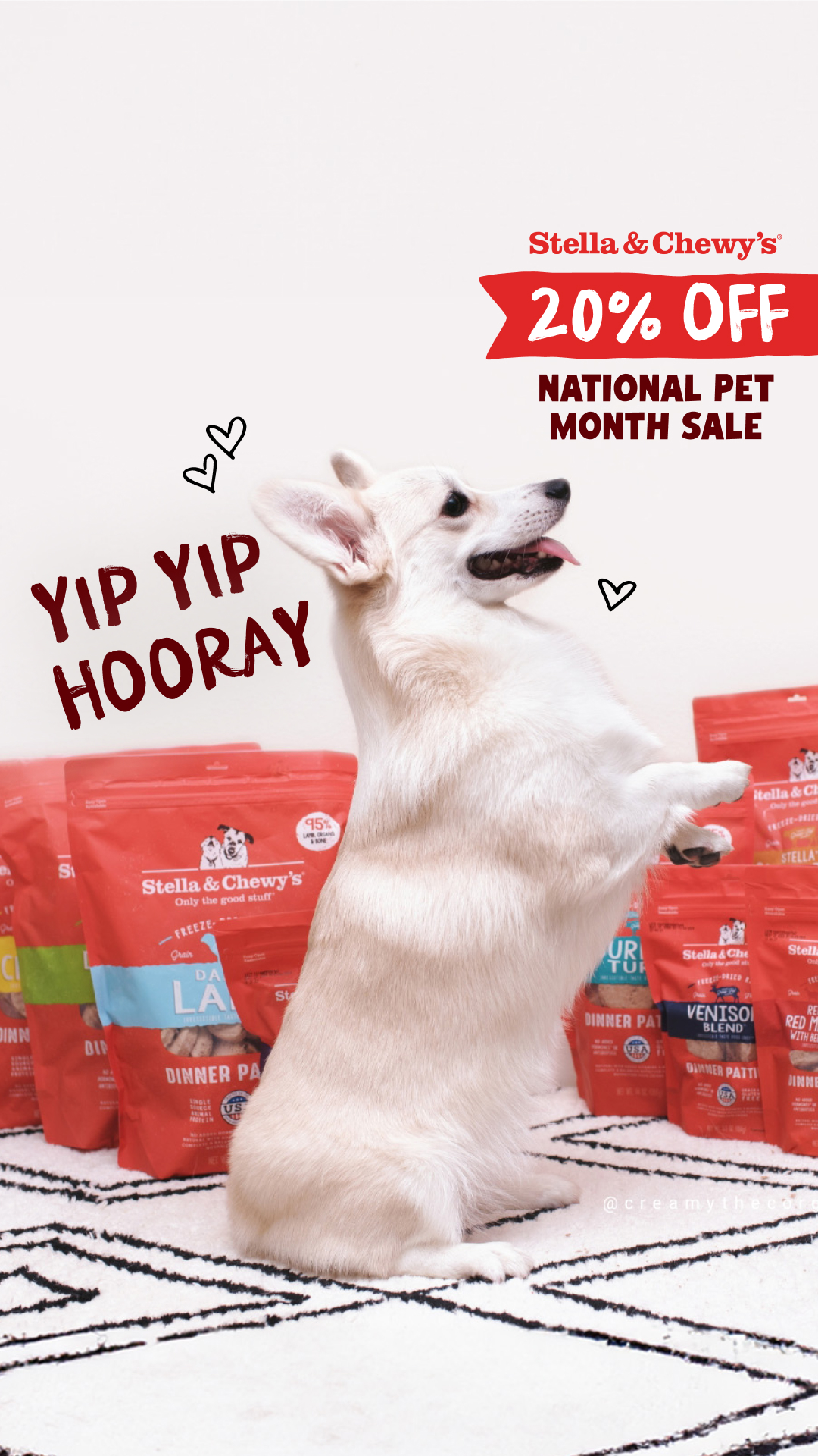 Happy National Pet Month from Stella & Chewy’s!