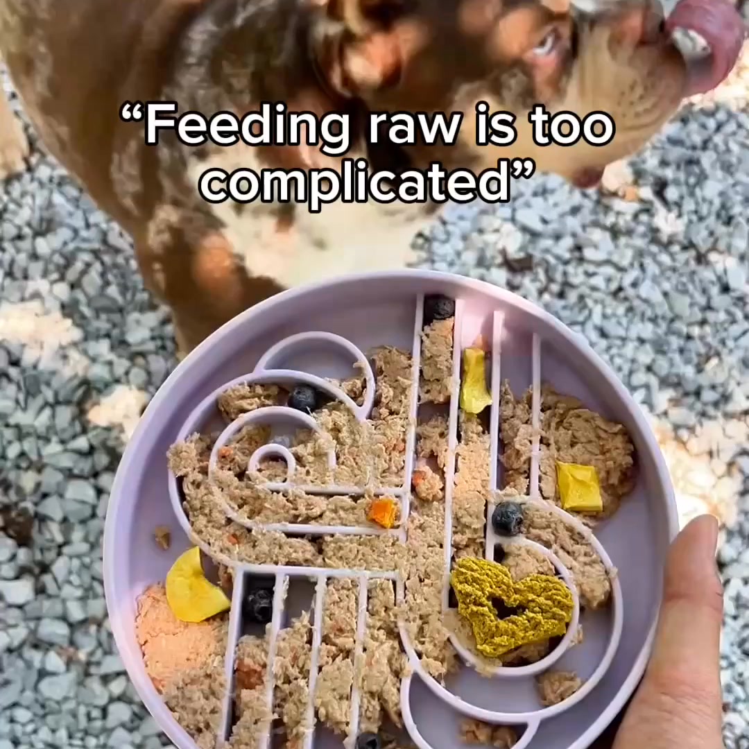 Raw Feeding Is Easier Than You Think