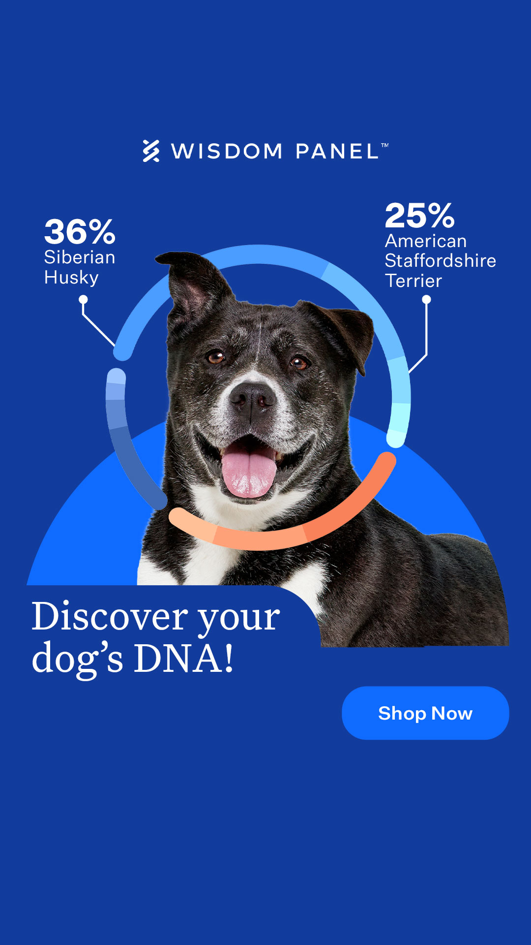 New! Behavior insights