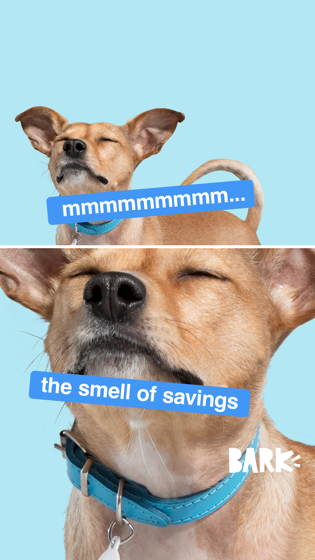 And it smells so dang good. Sign up for BarkBox and get a free toy every month for a year.