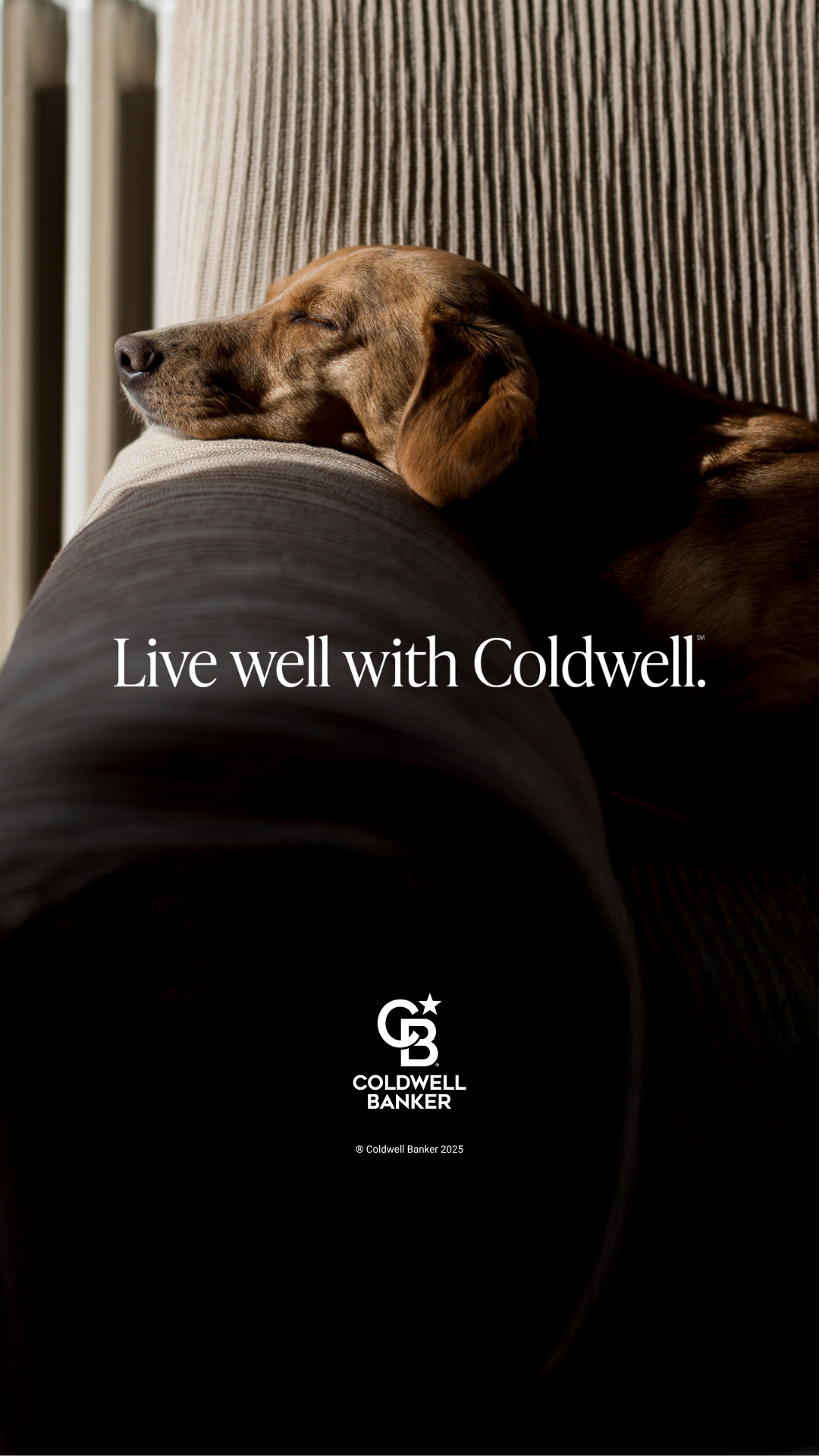 Browse the latest listings