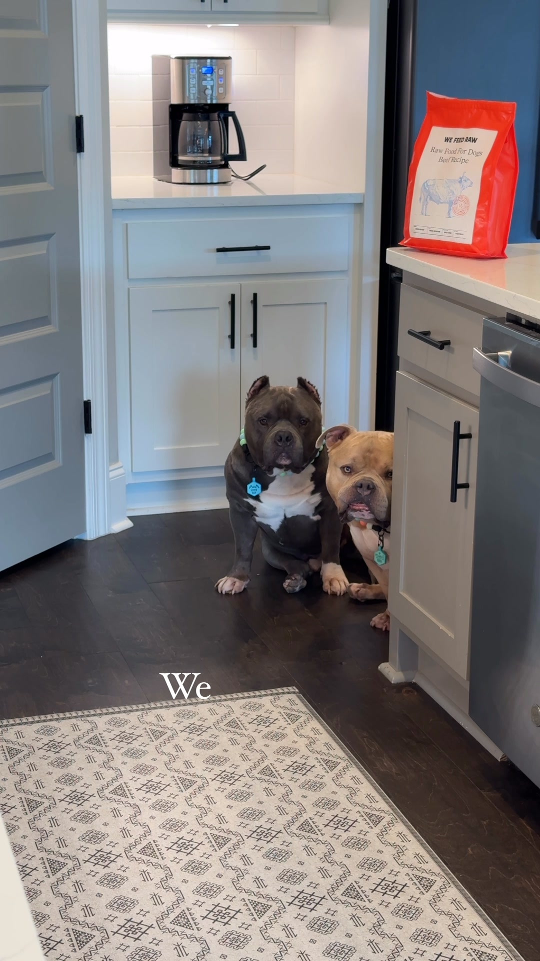 Get 40% Off Vet-Recommended Raw