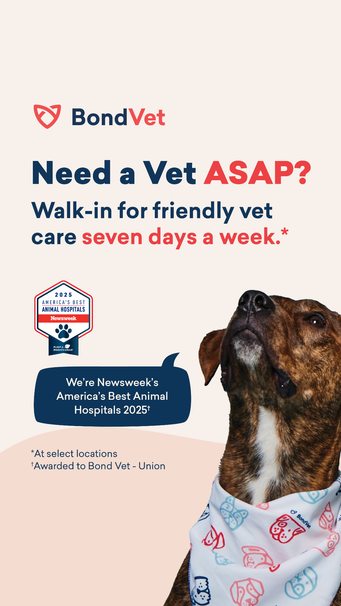 Vet Care On Your Schedule