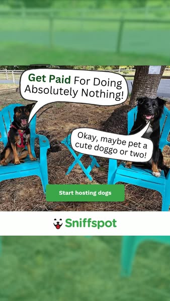 Rent your yard to Dogs 🙌 🐕‍🦺