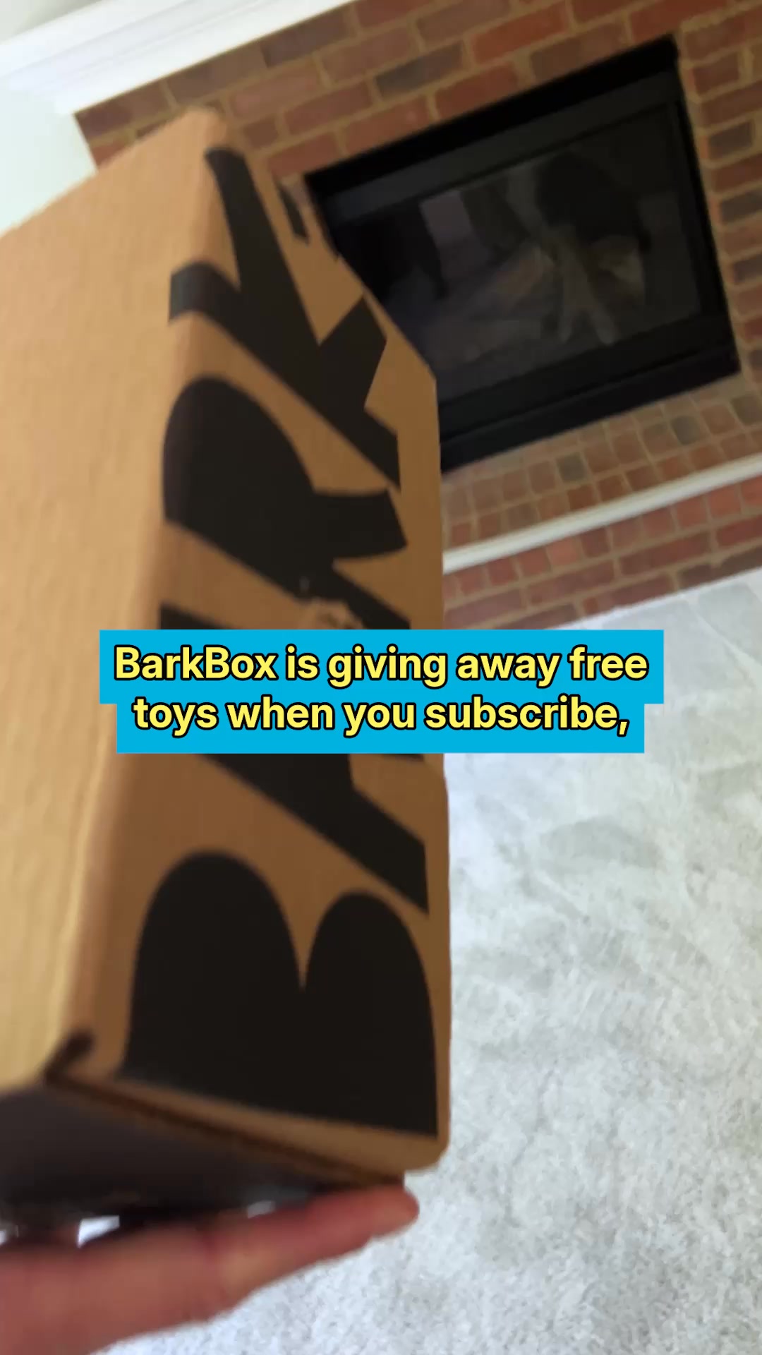 +1 FREE TOY EVERY MONTH