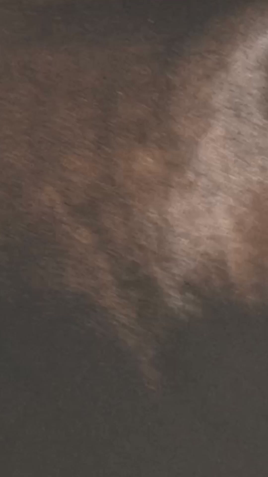 Shop The Equestrian Edit