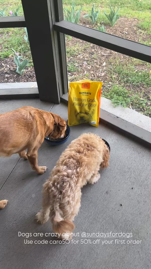 Dogs are crazy about @sundaysfordogs  Use code caro50 for 50% off your first order