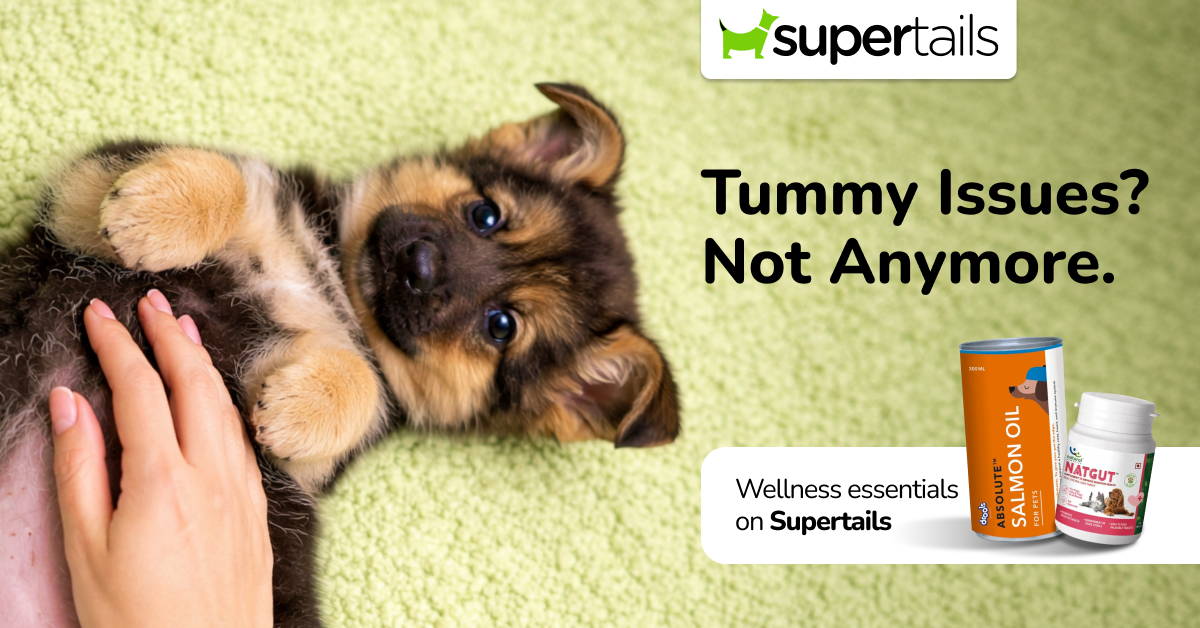 Everyday wellness care made easy with Supertails