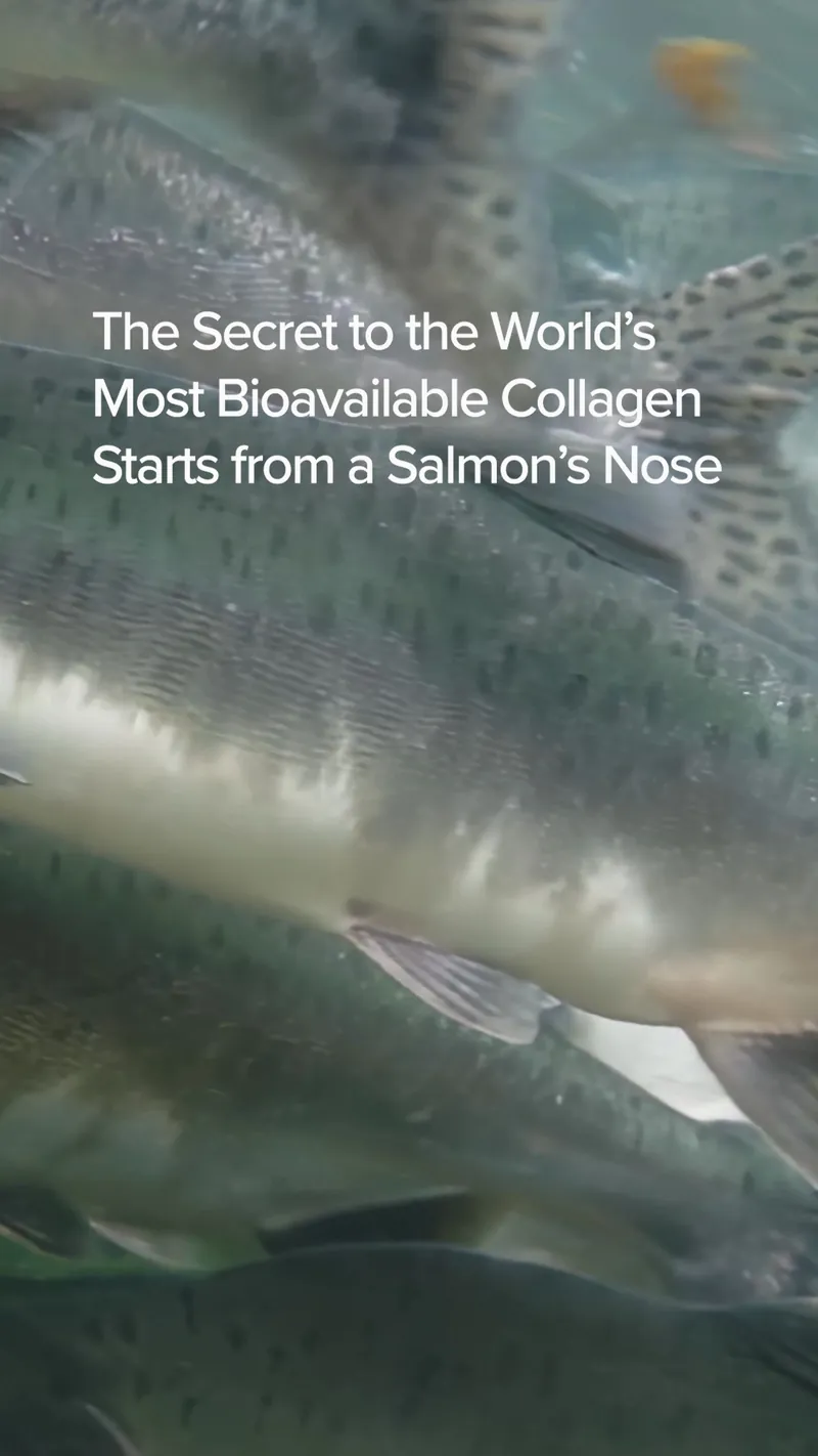 The World's Only Longevity-Focused Beauty Collagen