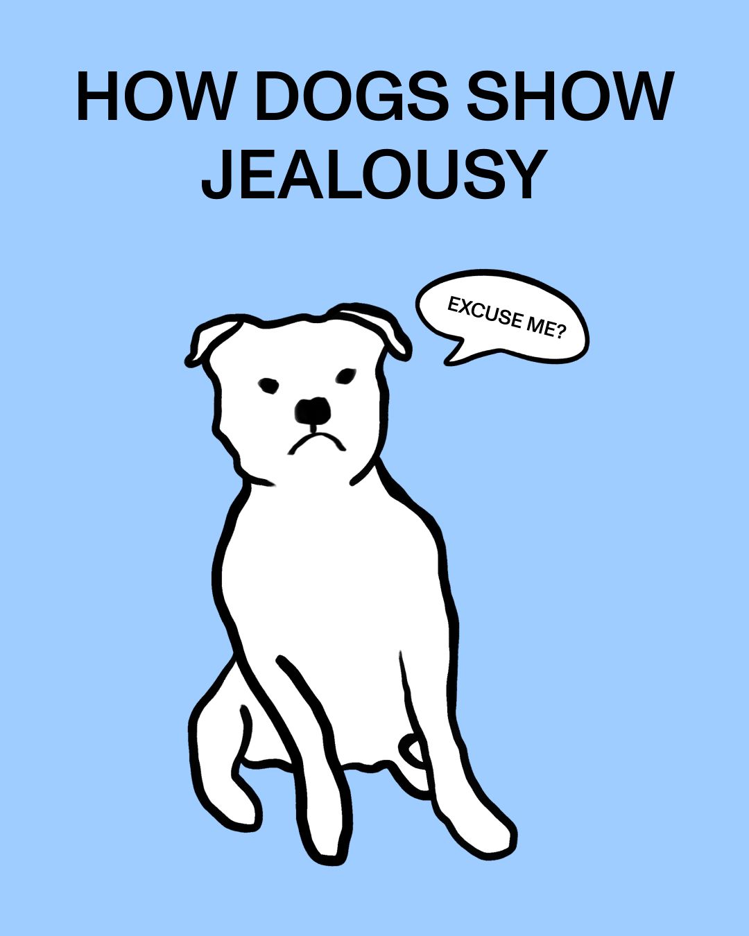 If your dog can't stand the idea of you petting another pup, this post is for you 😅 Understanding these behaviors helps your pup feel more included and confident! Read about dog behavior in our link in bio!

#dogbehavior