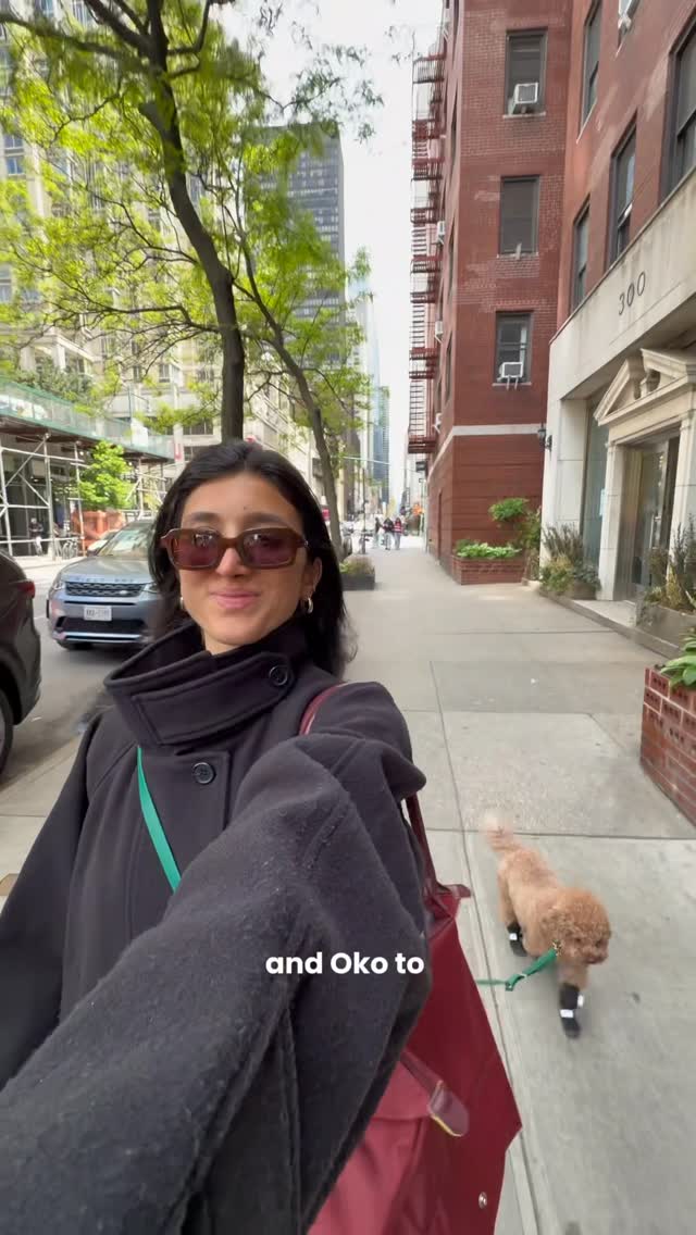 🐶🐾Taking my Anxious Pup to our FAVORITE vet in NYC

Use code: Oko for $100 off your first vet visit!

#vetvisit #dogmom #dogsofinstagram