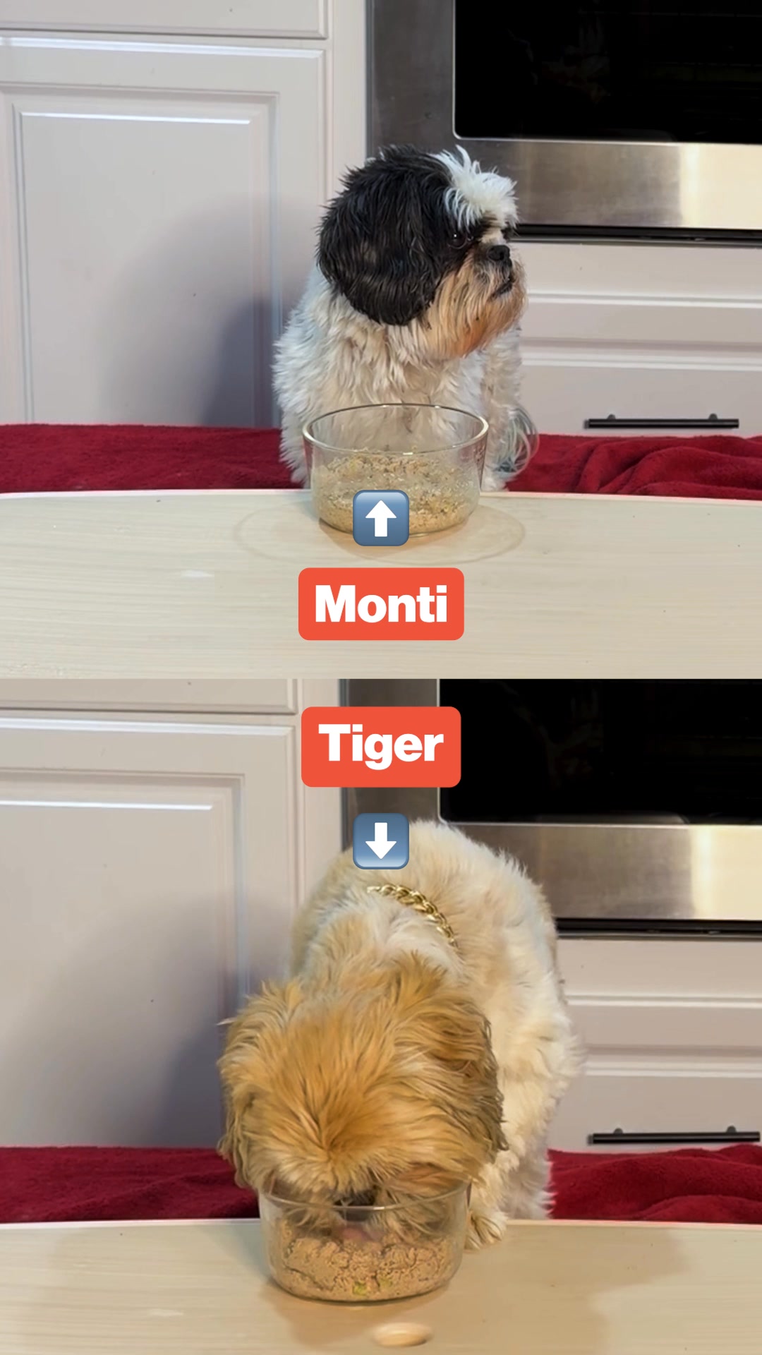 Having a house full of pups is all fun and games until you have to prep all their meals. Thankfully, I have personalized meal plans that I trust with The Farmer's Dog! 🙌