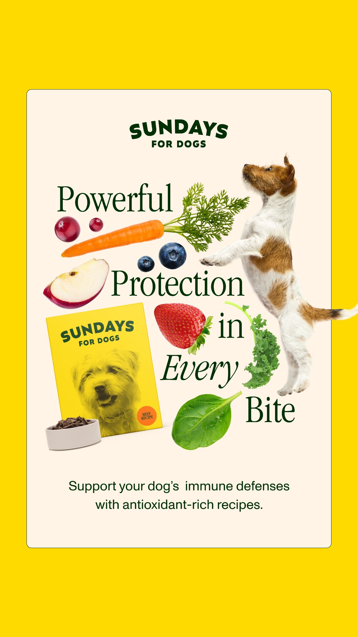 Sundays is no mess, no prep dog food that makes serving your pup 100% meat and superfoods effortless. We want you to see how this can impact you and your pup so we’re offering 30% off your first order