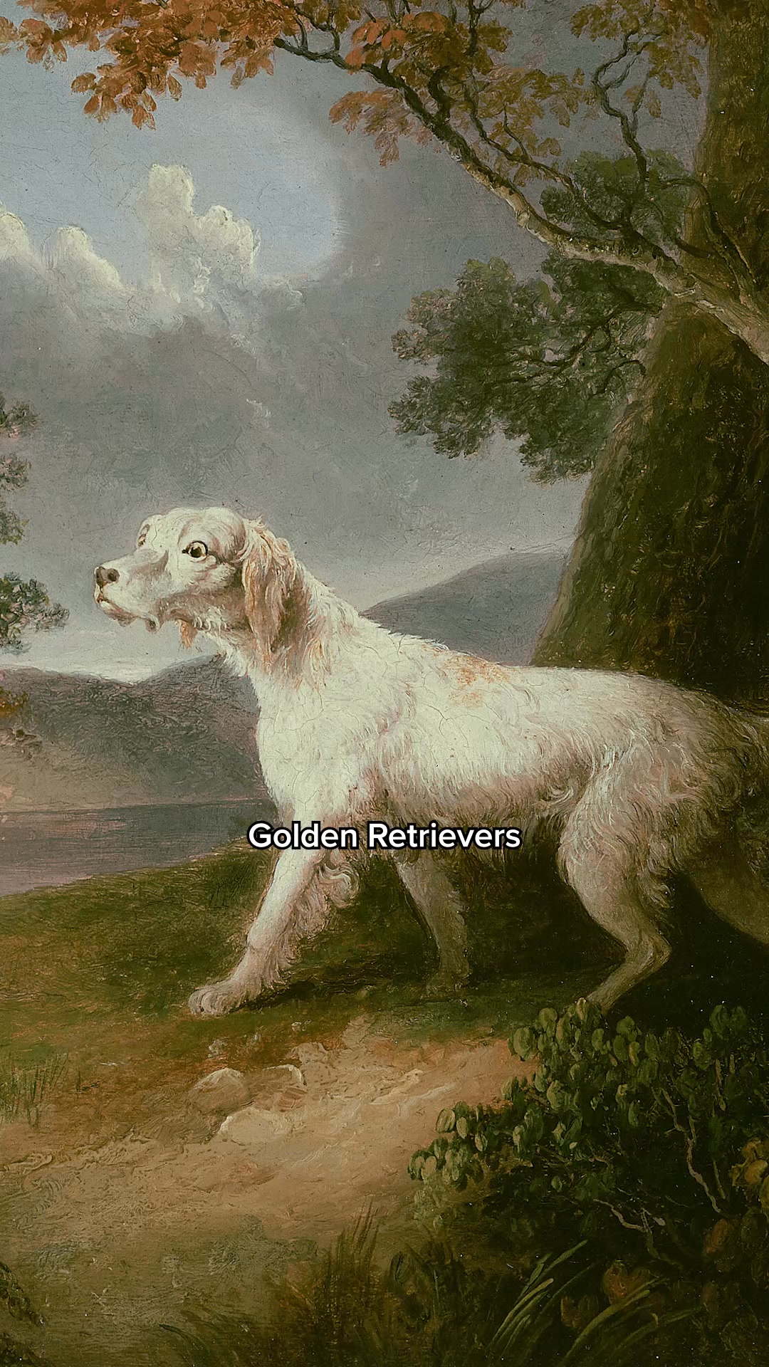 Golden Retriever owners, may we have your attention 👀. Fresh food from The Farmer’s Dog helps all dogs, even those the size of mini-horses, achieve a healthy weight. Get 50% off your first box when you sign up today!