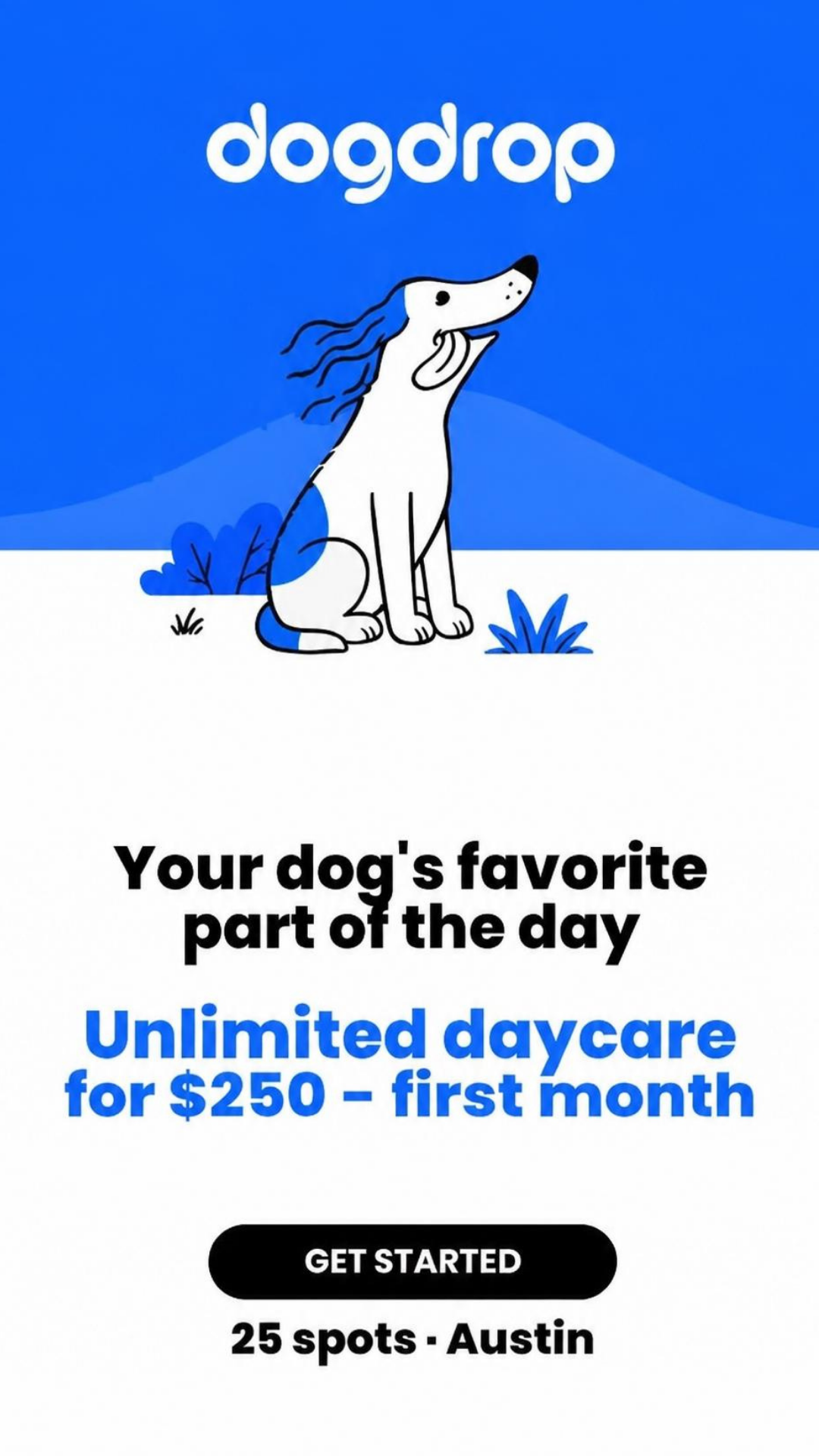 Austin Dog Parents: Get Your 1st Month for $250