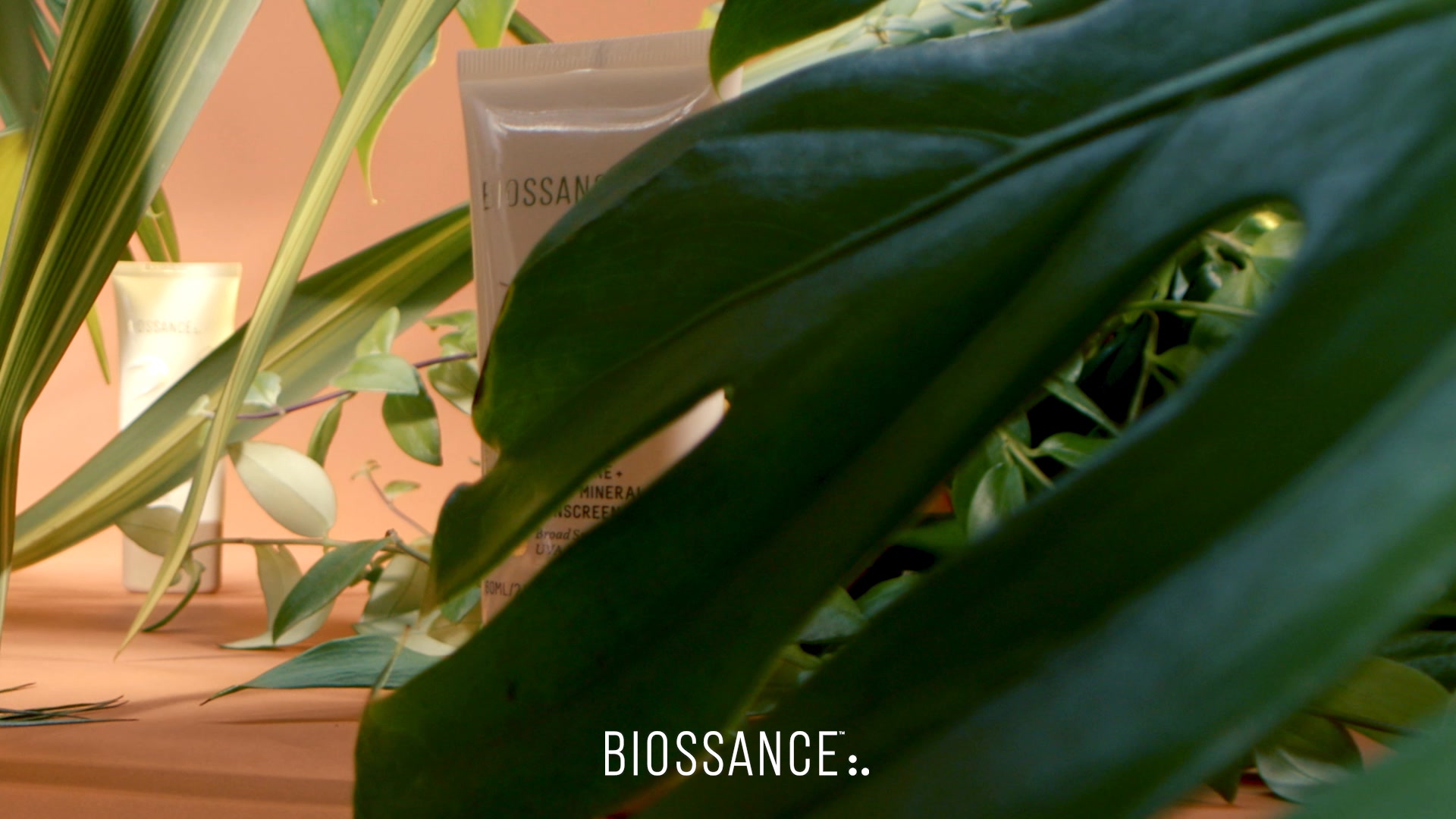 Skincare Meets SPF 50