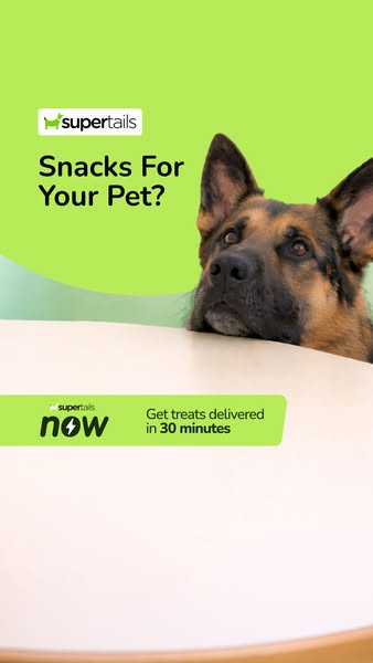 Snacks for your pet? 🐶
Yummy treats that are healthy too!
