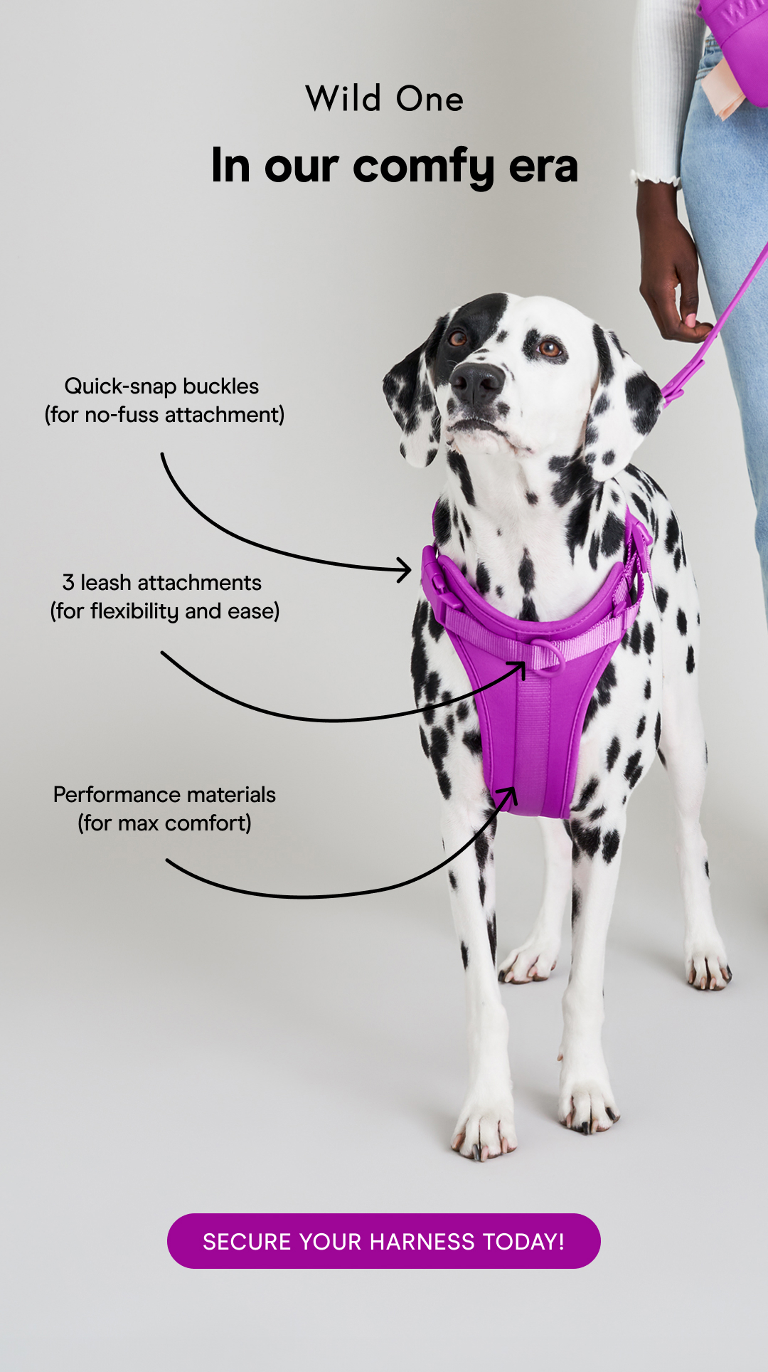 Cute Essentials for Cute Pups ❤️