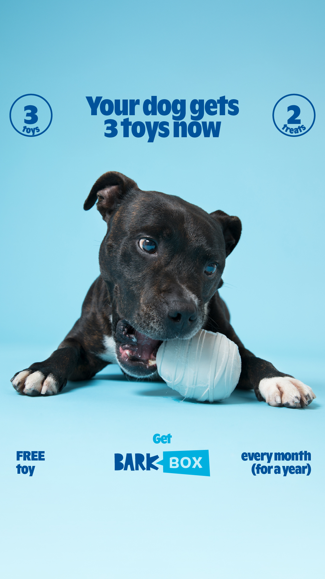 this one is mine. the rest are also mine. Sign up for BarkBox and get a free toy every month for a year.