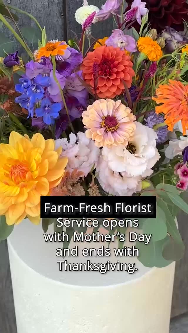 💐 Fresh flowers shouldn’t be hard to come by. You deserve them on a random Tuesday just as much as on a birthday, a Mother’s Day, a retirement, or a “just because I saw these and thought of you” kind of day.

At Old Barn