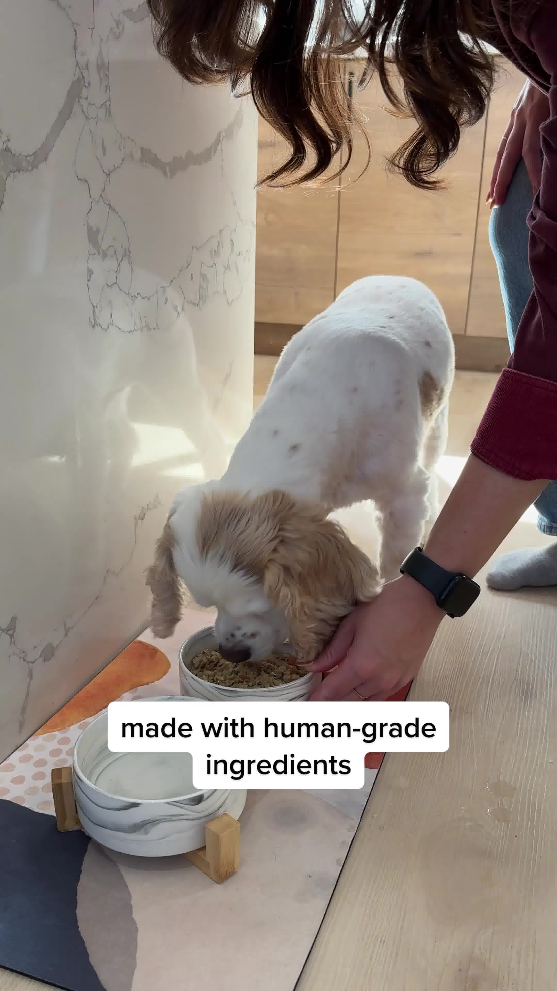 Travel More. Worry Less. Feed Fresh.
Your travel plans shouldn’t revolve around your dog’s food bag.

JustFresh gives you shelf-stable, human-grade meals—without the bulk, mess, or ice packs.

🚗 Perfect for road trips, l