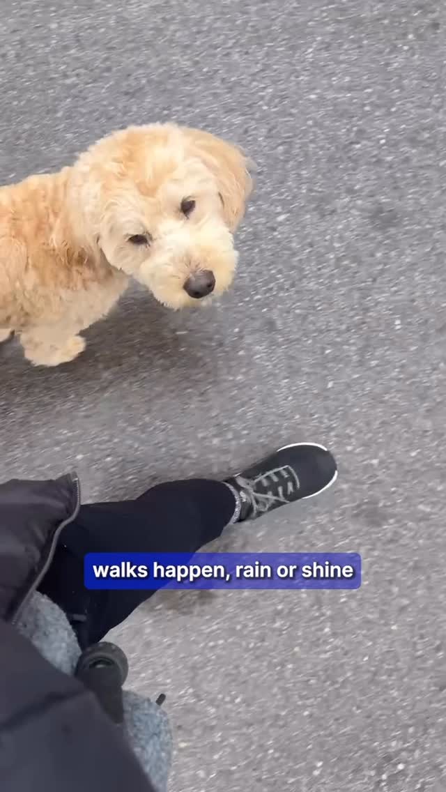 Having a dog means walks… no matter the weather 😩
Good thing @kizik hands-free boots keep my socks dry! 

#ad #kizik