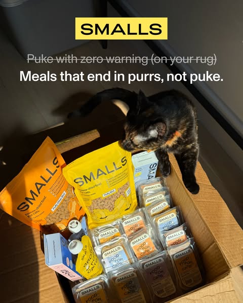 Smalls is fresh, high-protein food that helps cats feel better, move more, and look their best.