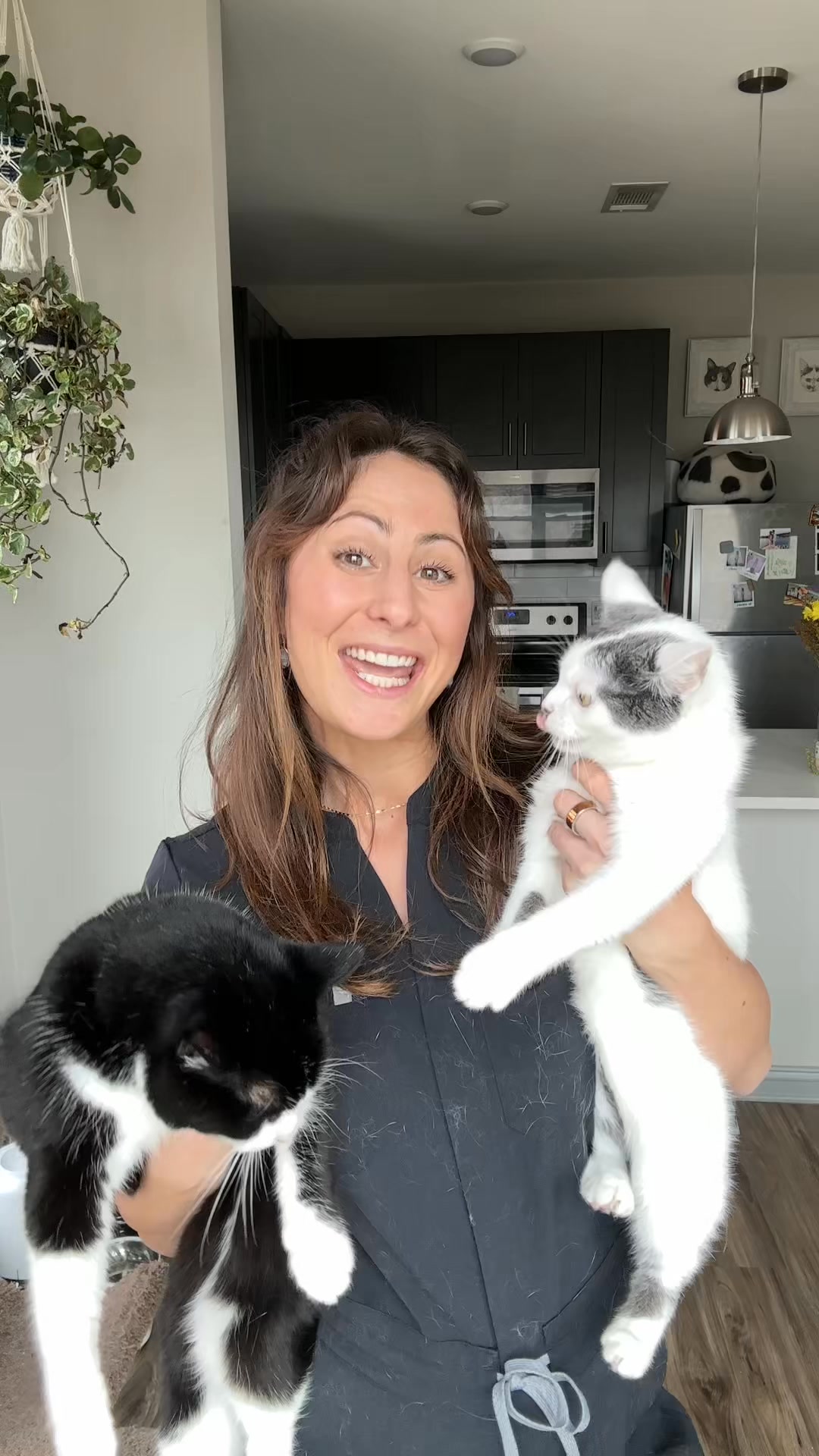 ✨ Meet Luma, the AI-powered self-cleaning litter box that anlayzes the poop before it scoops. A new era in cat care is officially here.