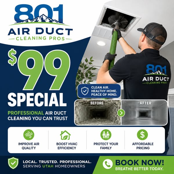 Cleaner Air for $99