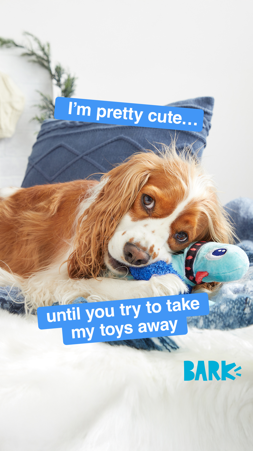 Don’t even try. Sign up for BarkBox and get a free toy every month for a year.