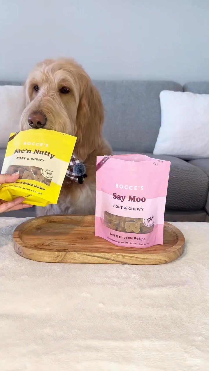 Shop Dog Treats