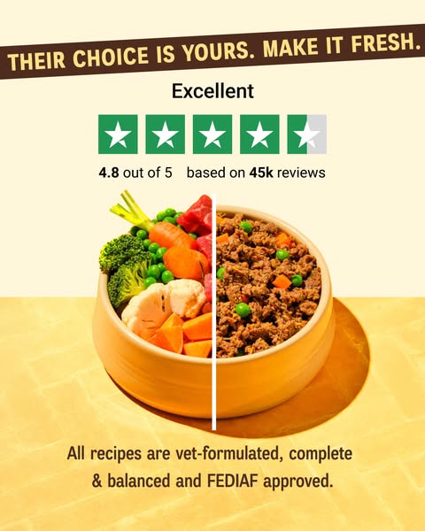 Their choice is yours. Make it fresh.