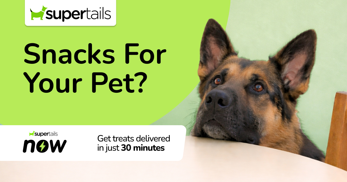 Snacks for your pet?