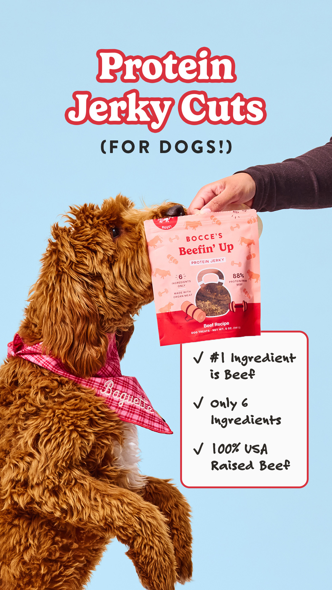 Shop Dog Treats