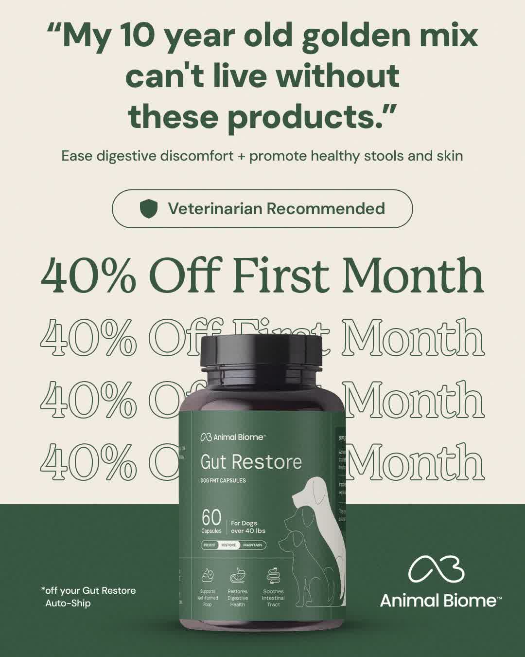 Veterinarian-Approved Gut Health Supplements for Your Dog