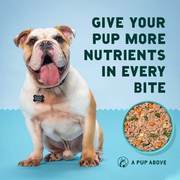 Real food isn't just for people.