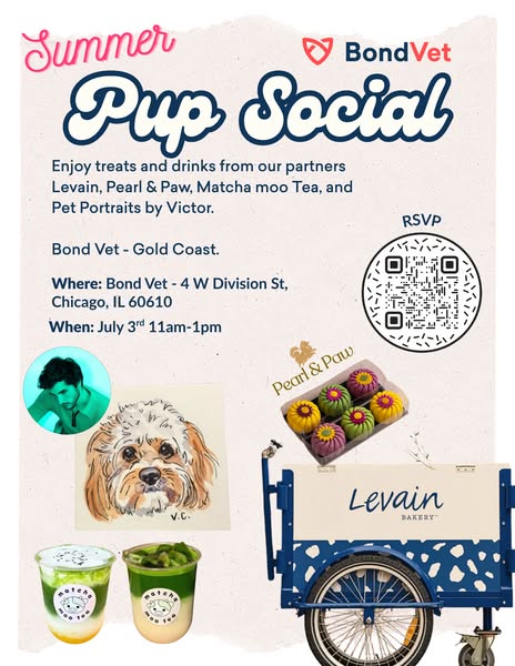 A Summer Event For Dogs & Humans