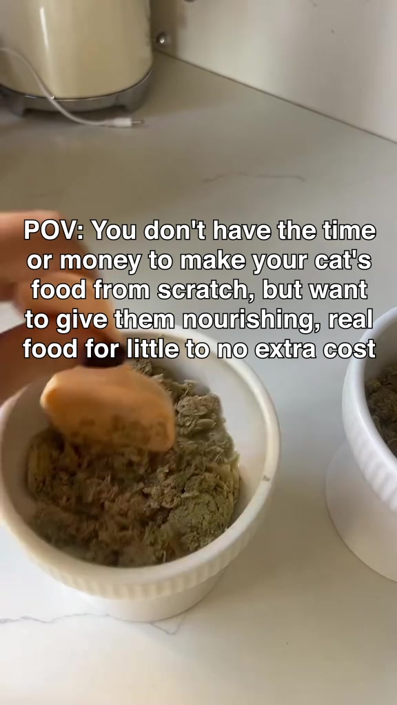 Human-Grade Fresh Cat Food