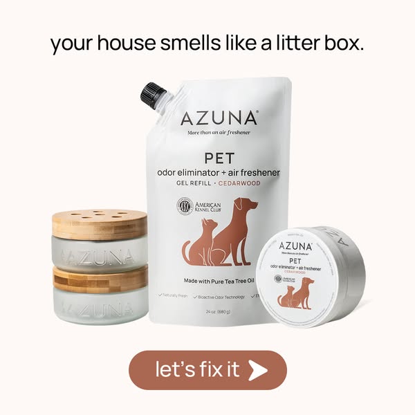 New Release: Azuna Pet 🐶