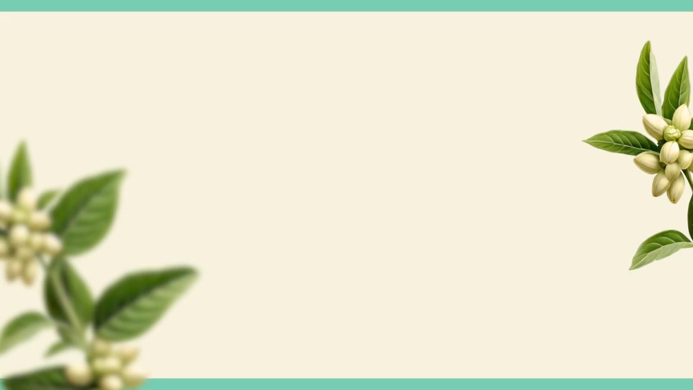 Adaptogens read your body’s needs in trying times and smooths out its stress response cycle