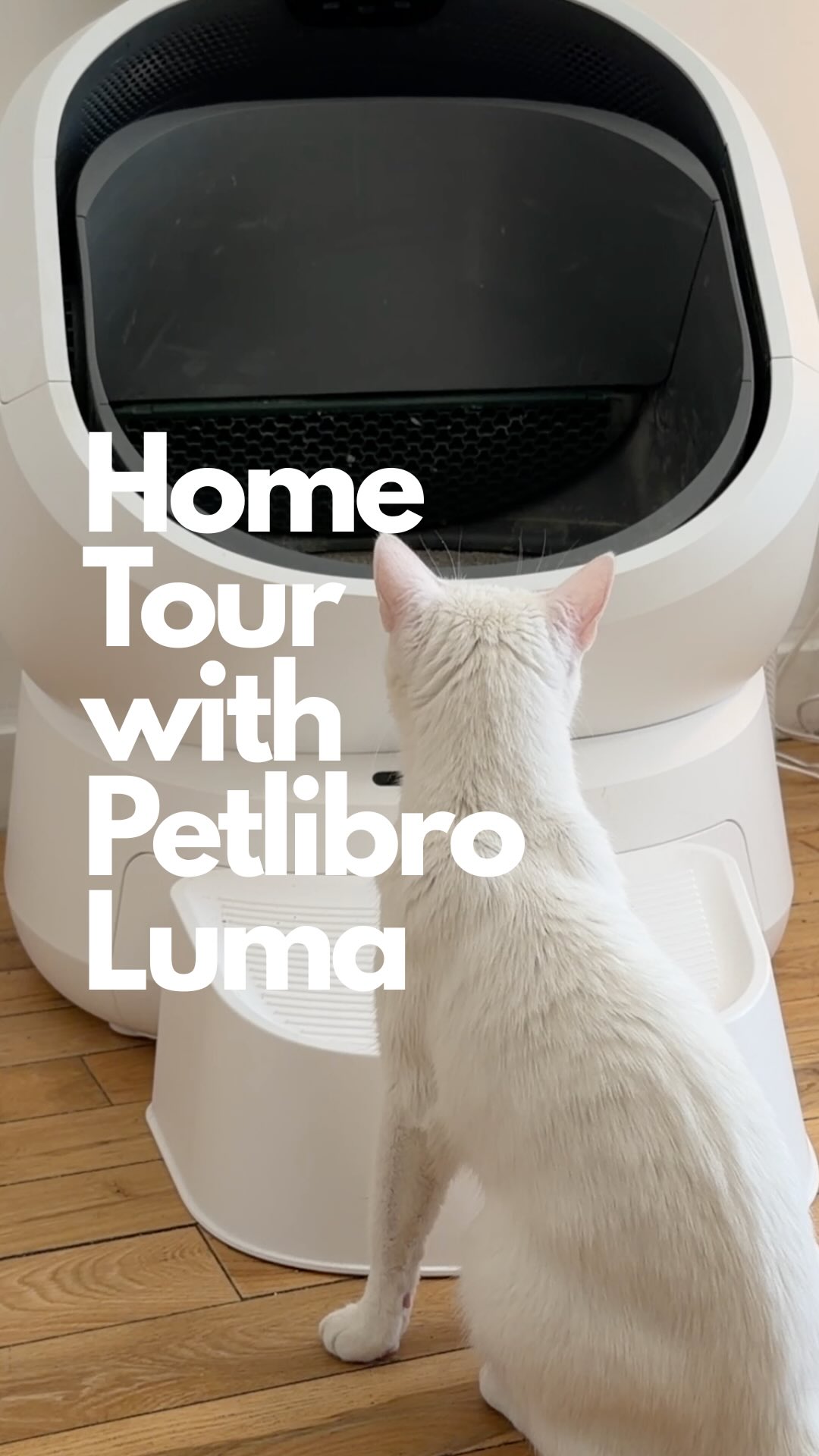 GIVEAWAY: Your cat deserves a smarter bathroom.

@Petlibro collaborated with us to show you how the Luma Smart Litter Box actually lives in real homes — four cats, a senior kitty with health needs, and a home thoughtfull