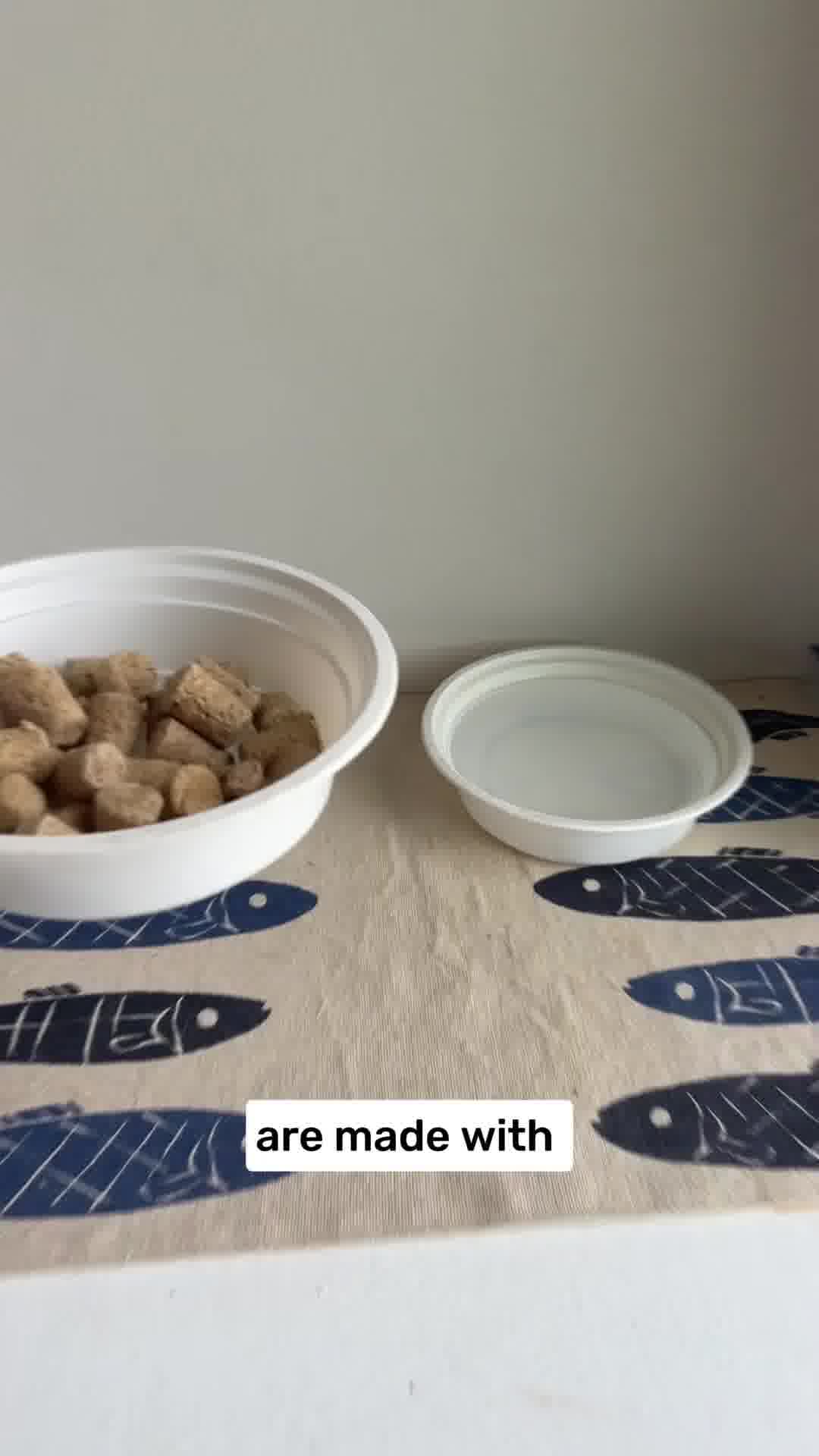 Transform Your Cat’s Health and Weight!