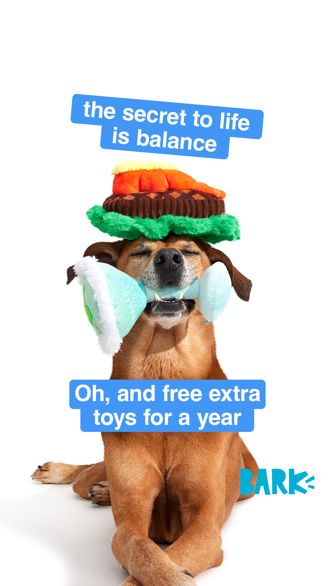 I have achieved toy-induced zen. Sign up for BarkBox and get a free toy every month for a year.