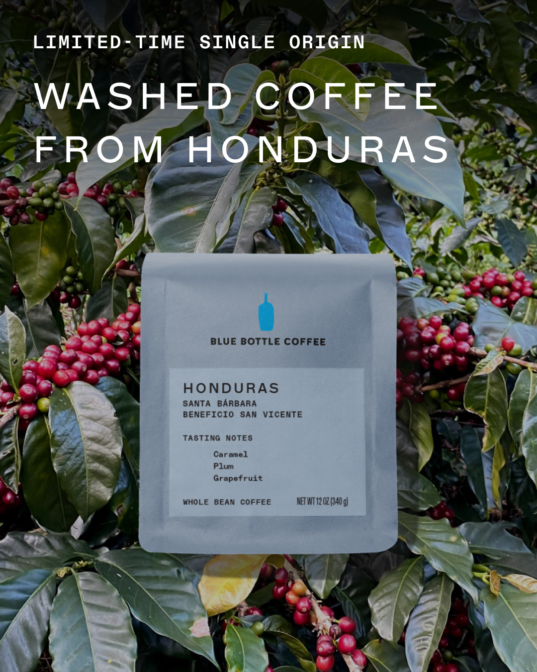 Honduras Santa Bárbara Coffee