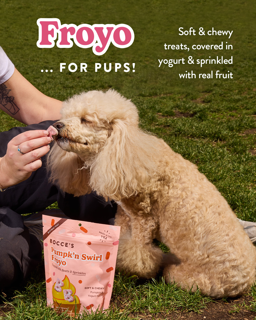 Shop Dog Treats